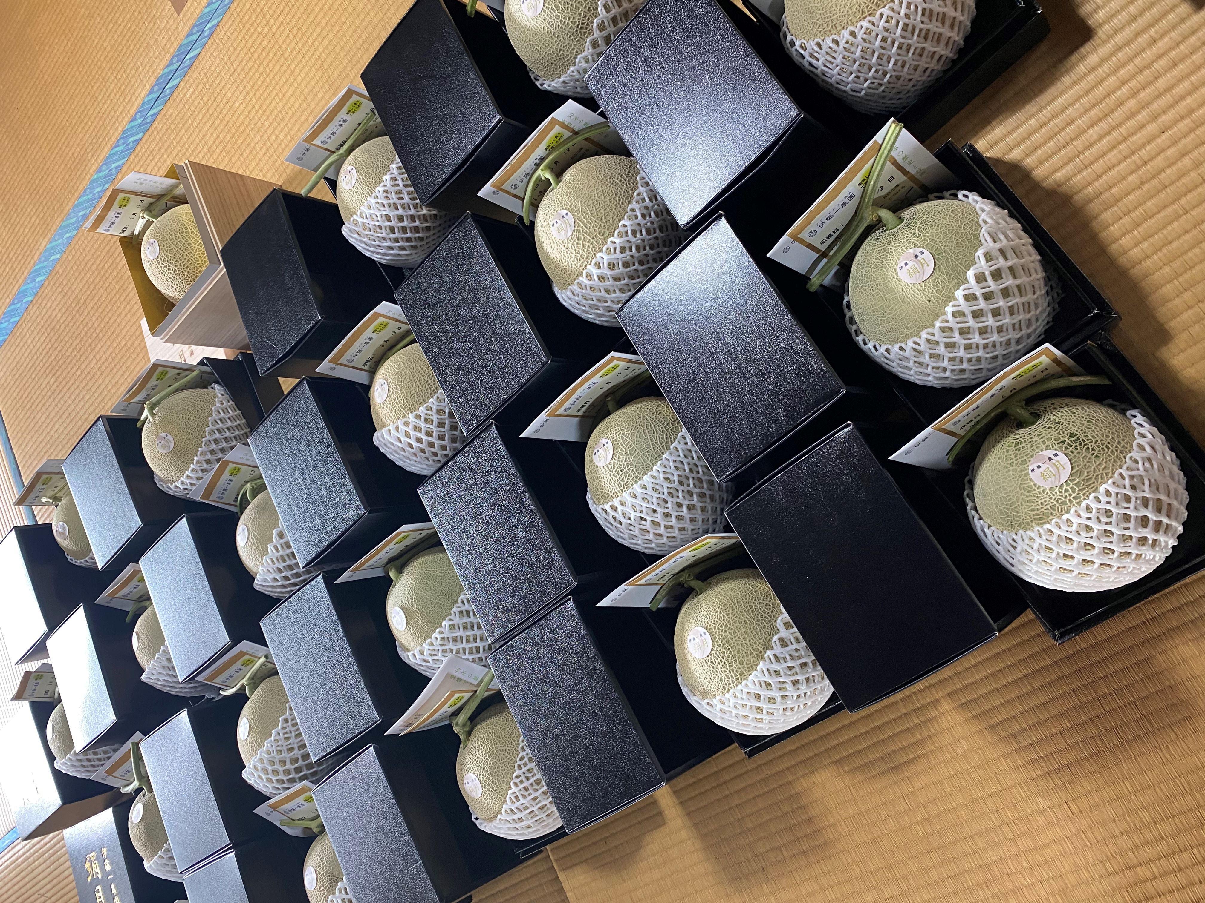 2024春　絹月　販売終了のその後