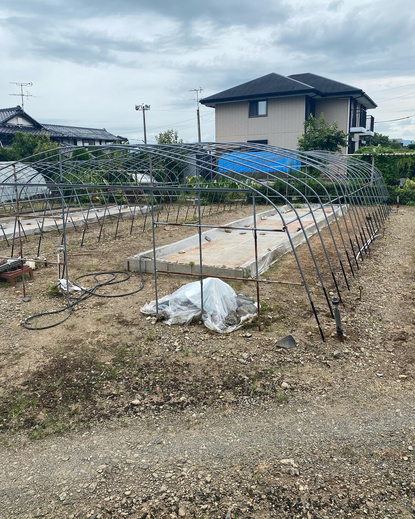 今回はメロンの苗の育苗棟の設置です。