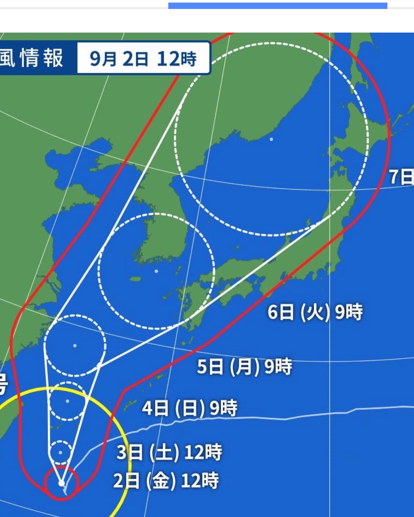気になって気になって、、、