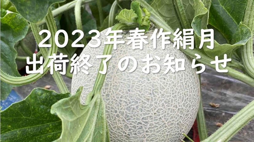 おかげさまで、ブランドメロン絹月出荷終了です。