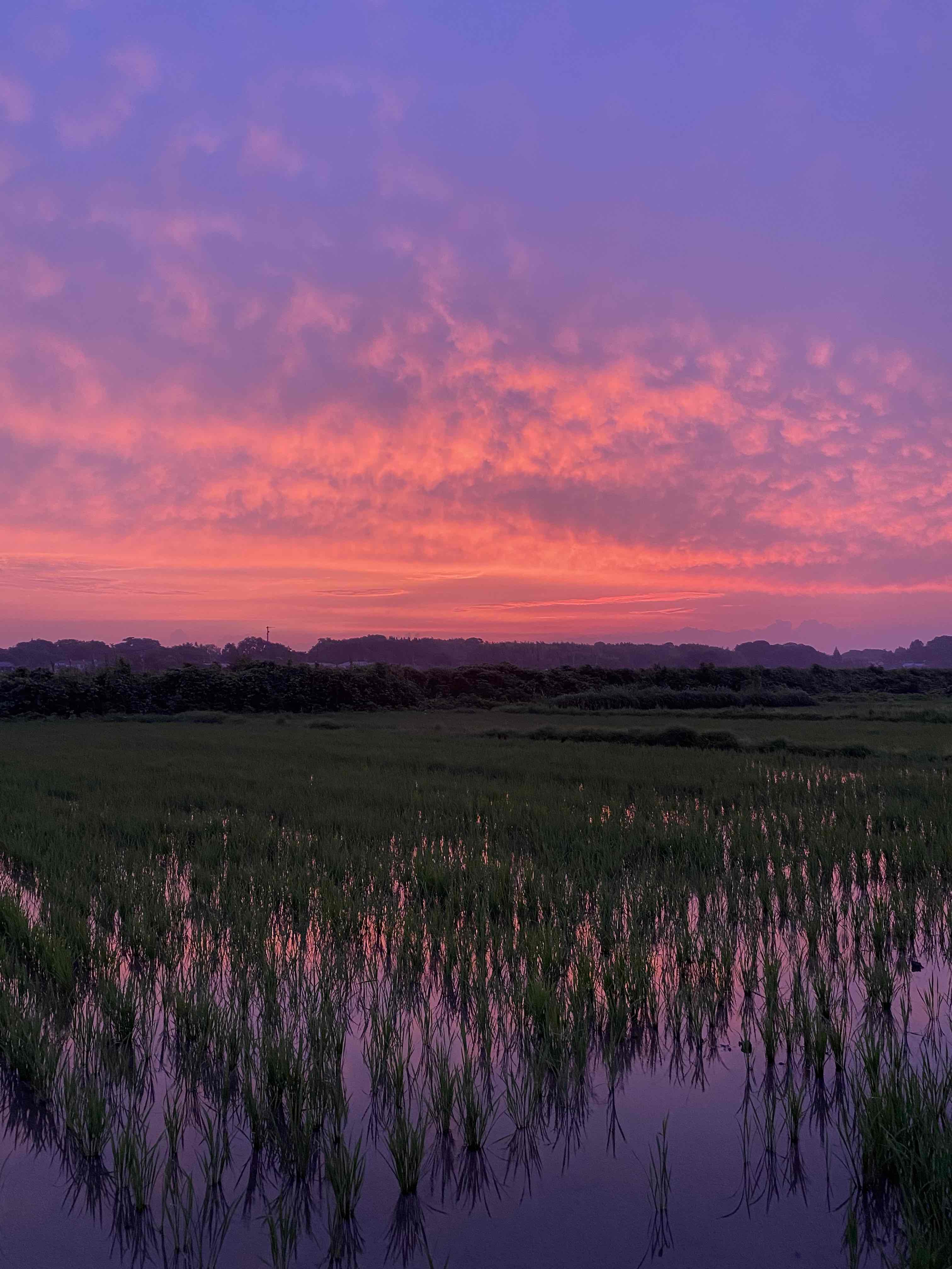 朝焼けが出ればその日は雨。。。。