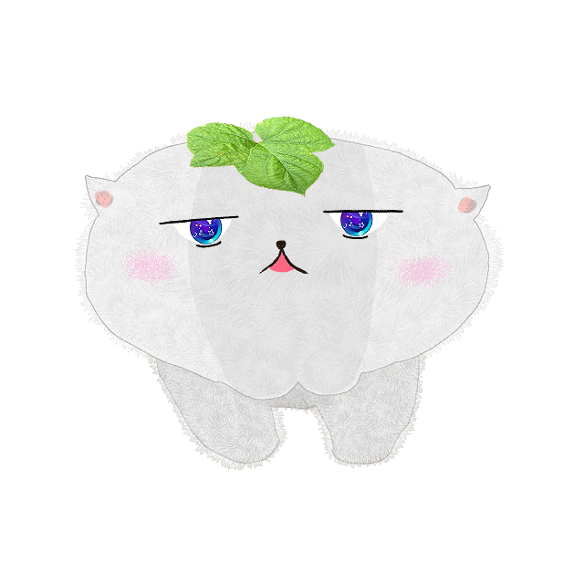ホタテ(=^・・^=)