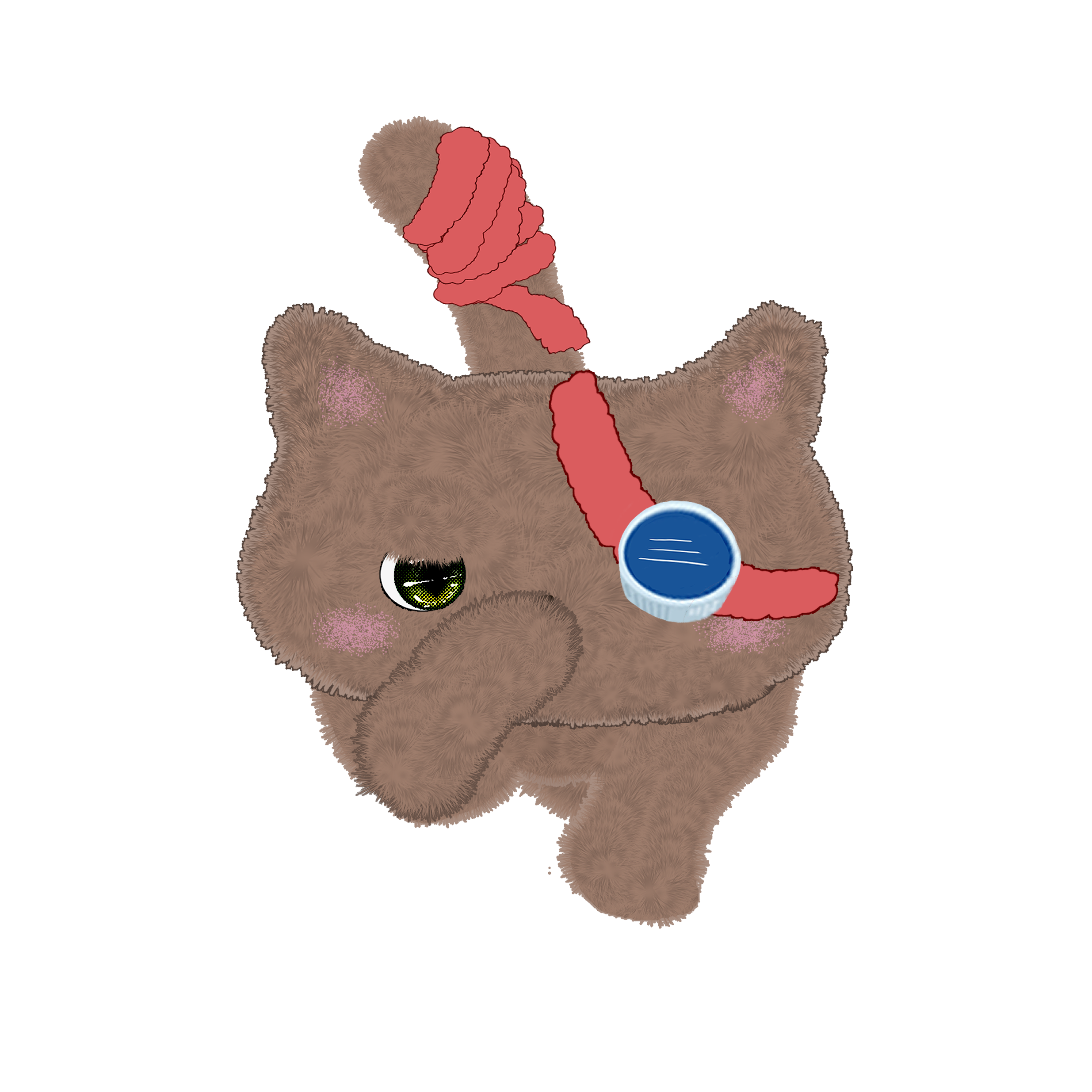 キタロー(=^・・^=)