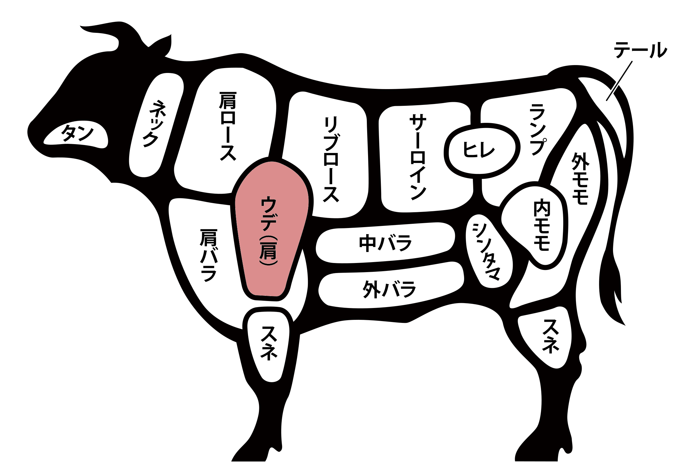 【部位解説】通が選ぶのはこれ！お肉の味が最も濃い「ウデ（肩）」の知られざる魅力