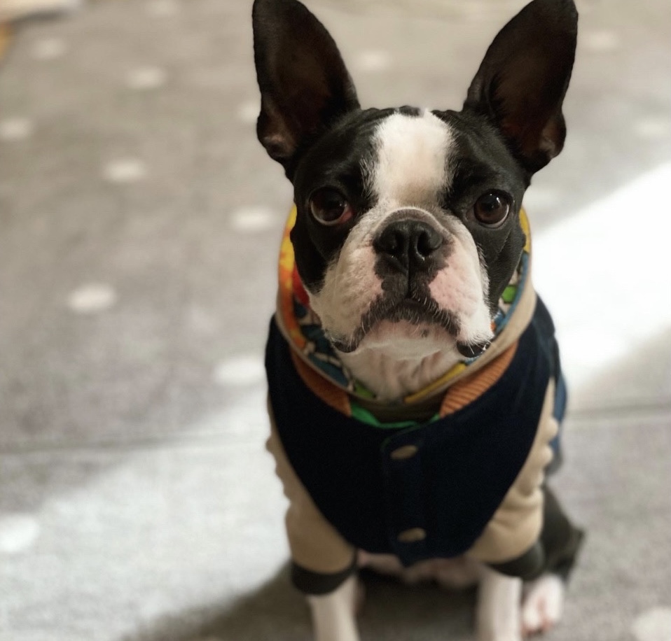 はじめまして小町です♪