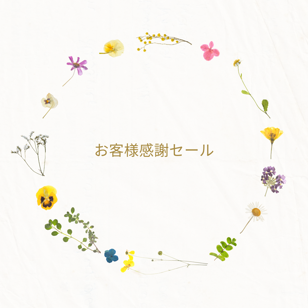 お客様感謝セールのお知らせ