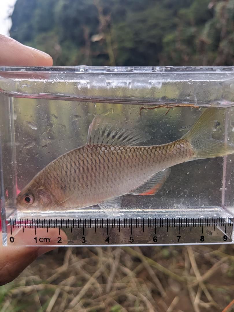 頑張らねば(๑•̀ •́)و✧