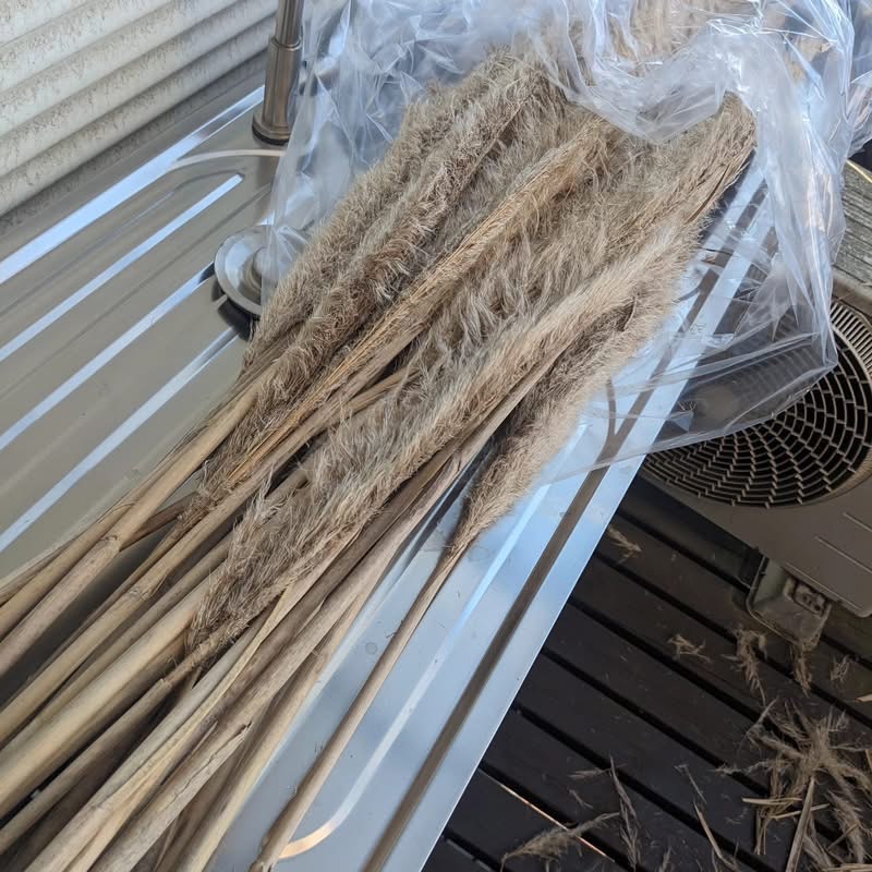 この遊びも流行らせたいな😊🎶