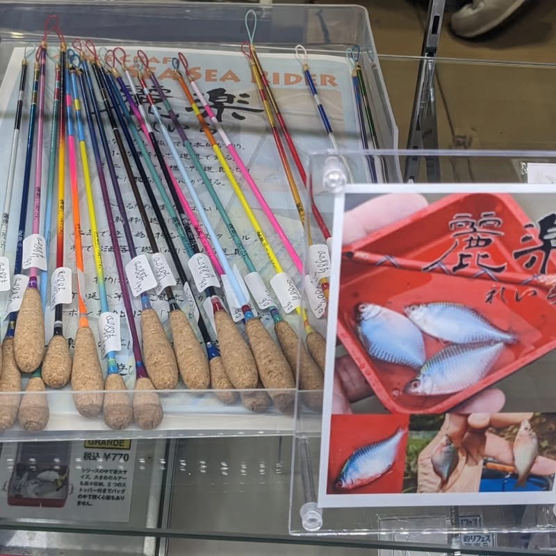 ⁡今ならカラーも長さも選べます！⁡