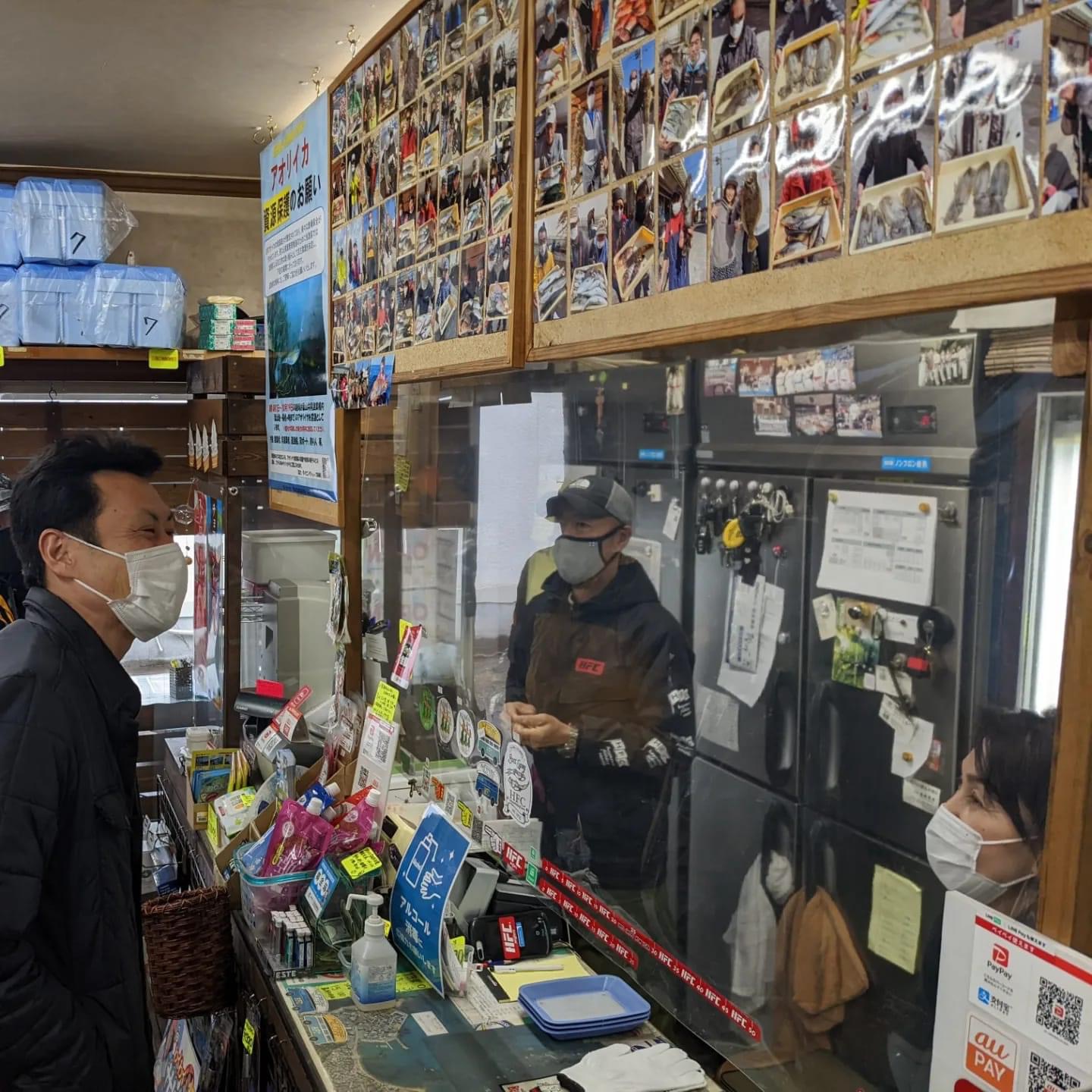 アオリイカの産卵床