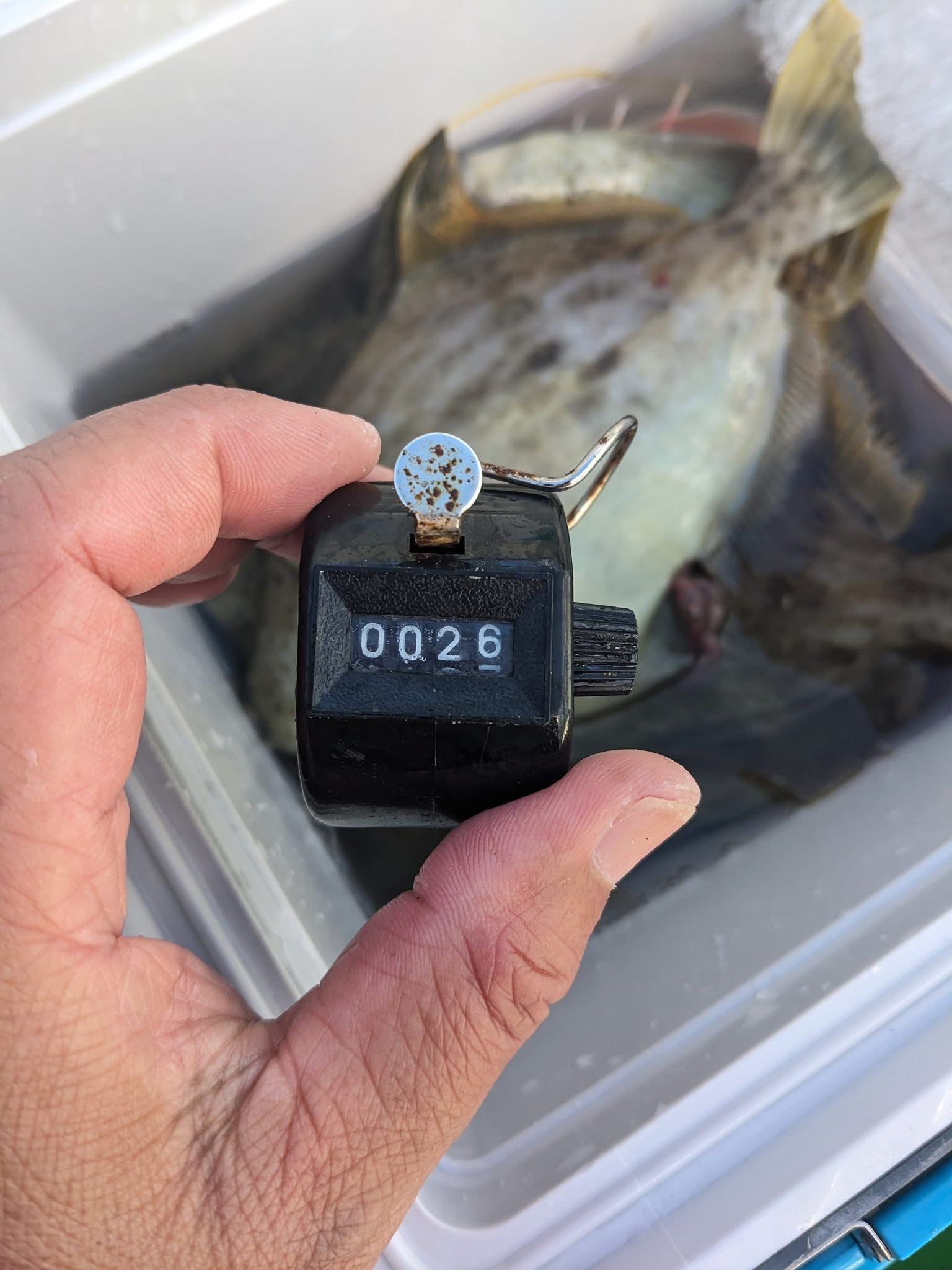 手感度バリバリのぶっ叩き竿