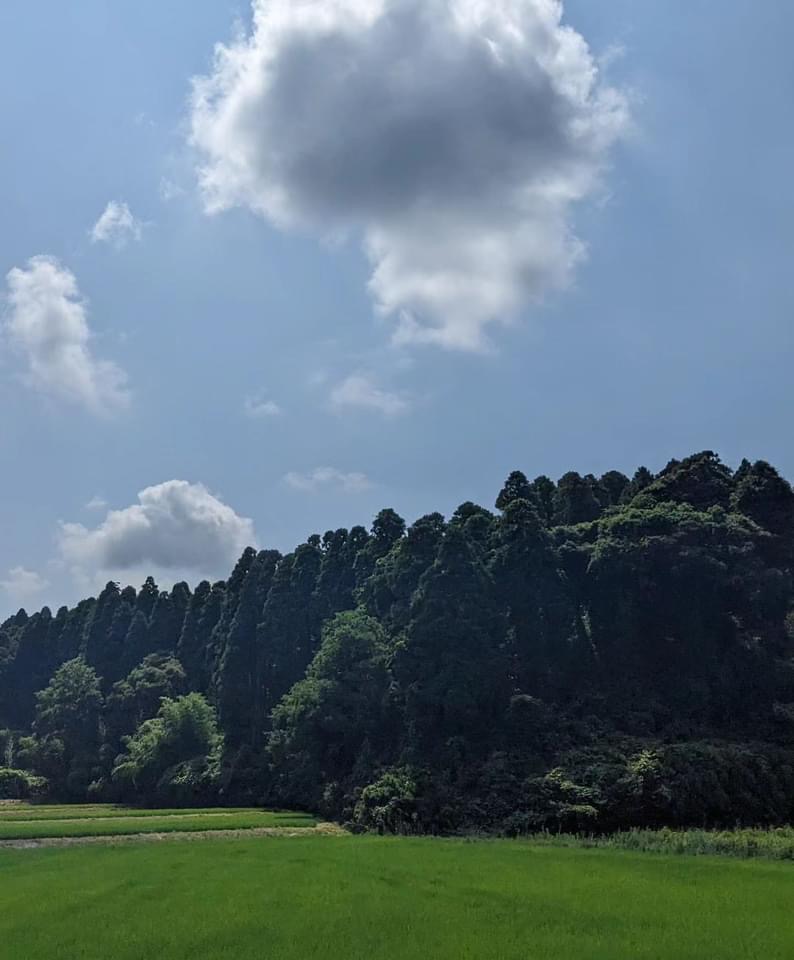 ⁡秘密のポイントで。