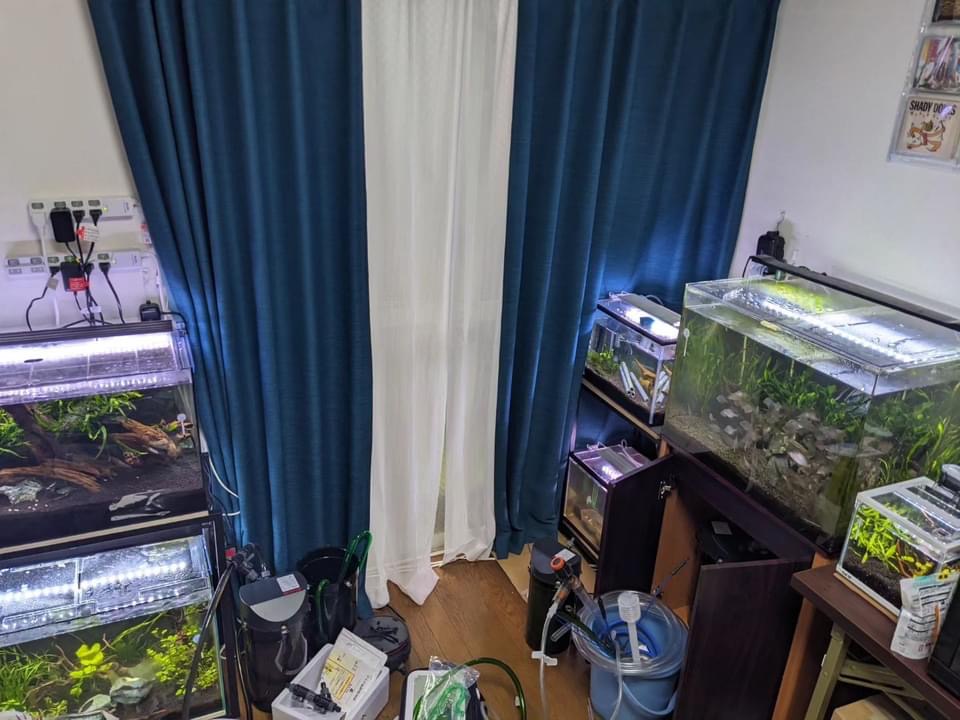 仕事部屋がやべー😅