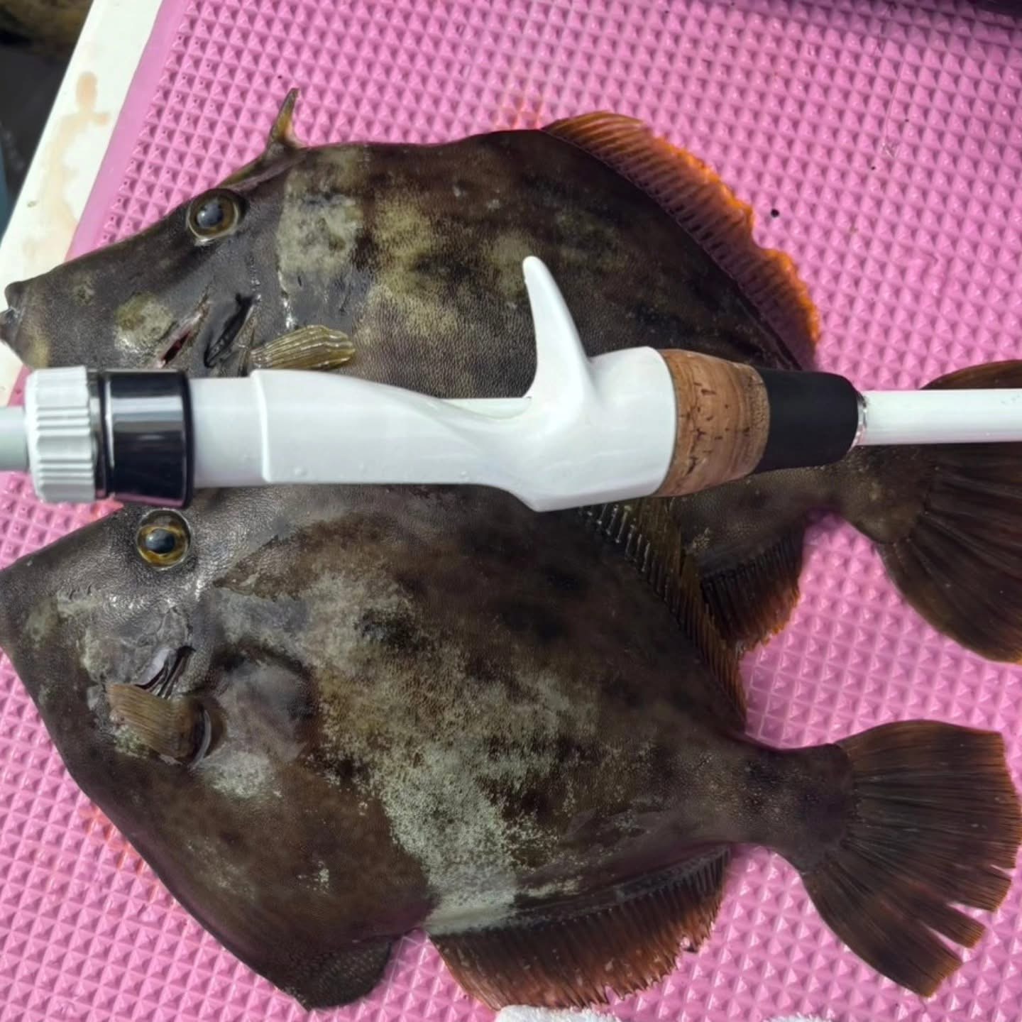 楽しい竿ができそうです🎶