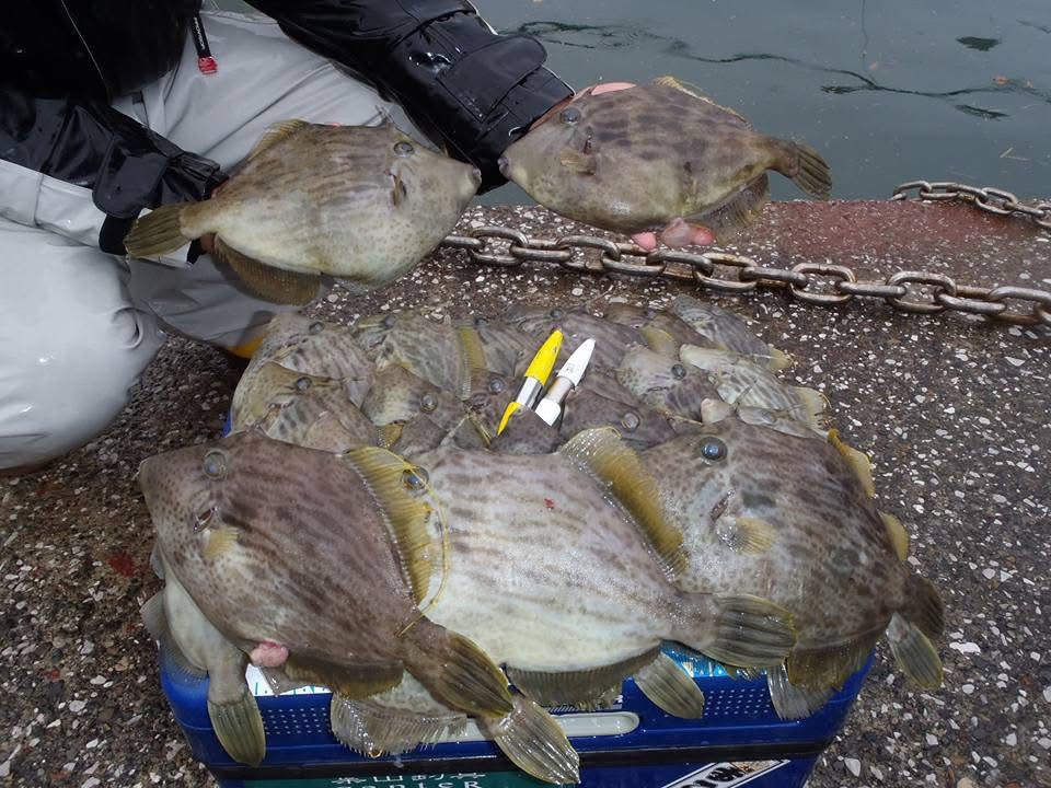 これ、笑っちゃう。