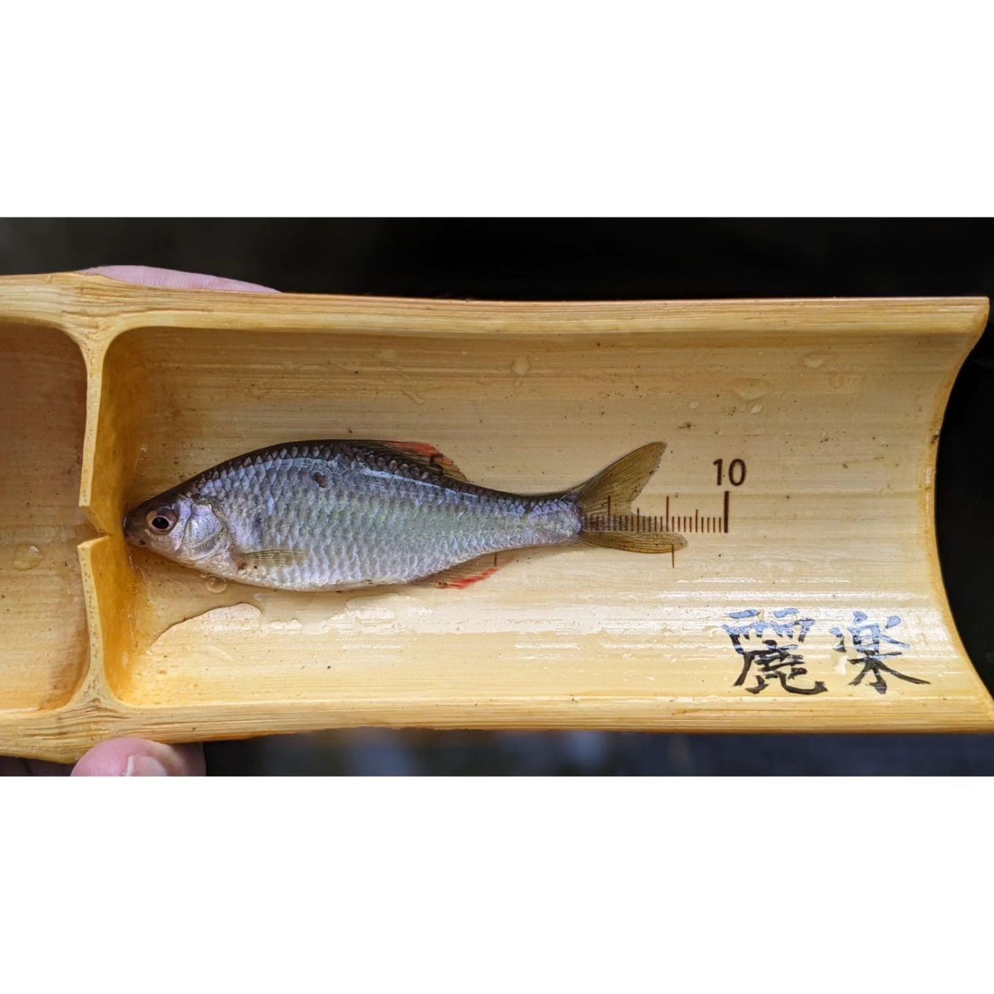 また新しい秘密のポイントが増えました💓