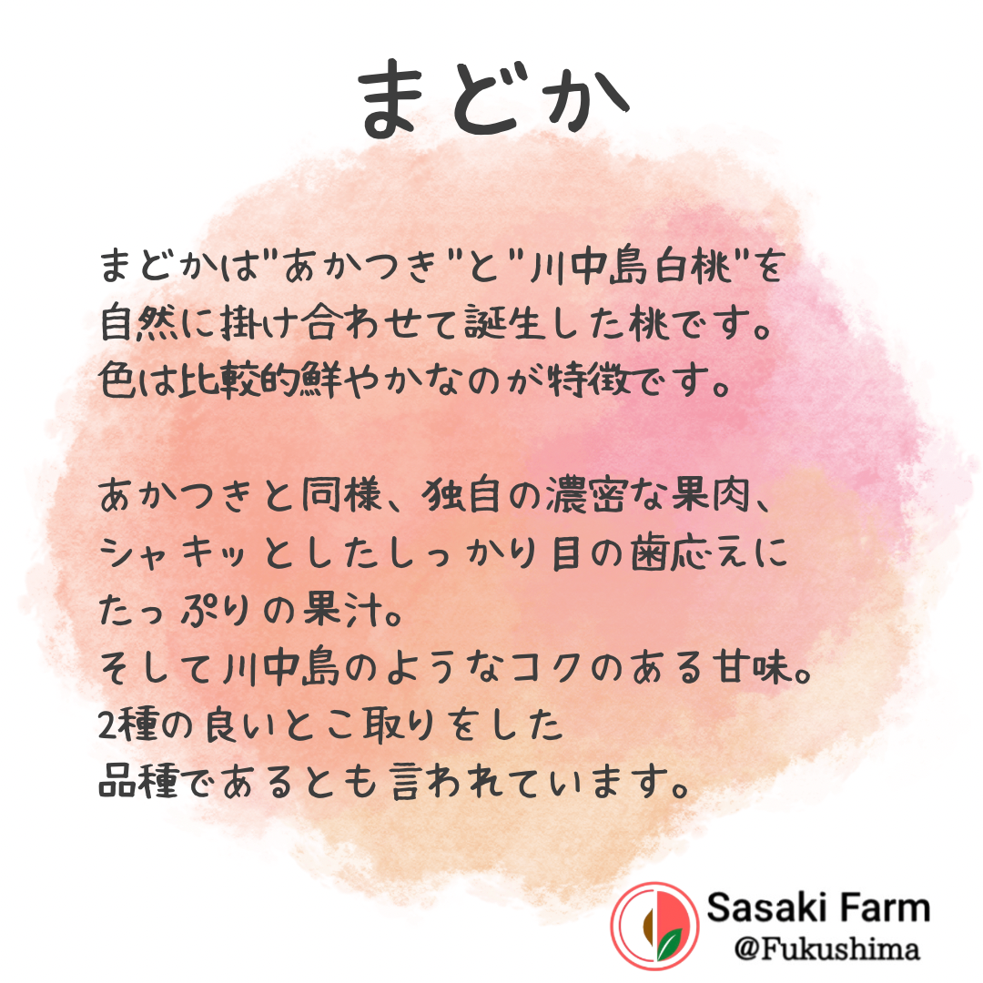"まどか"の美味しさご紹介