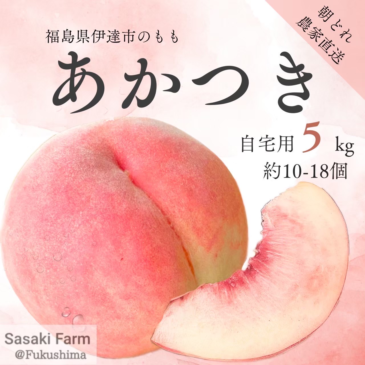 あかつき予約販売開始のお知らせ