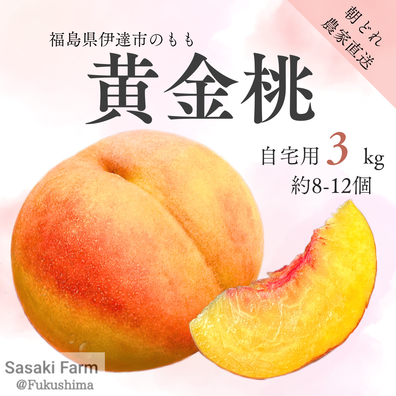 黄金桃・川中島白桃 はじまりました！