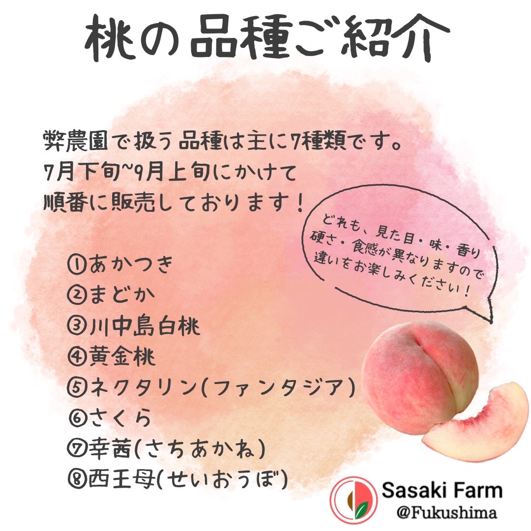 川中島、黄金桃はじまります！🍑