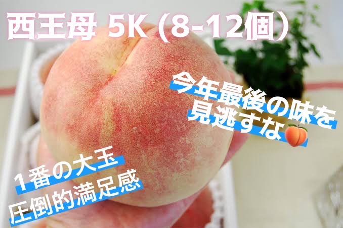 今季最後の桃 西王母販売開始！！🍑