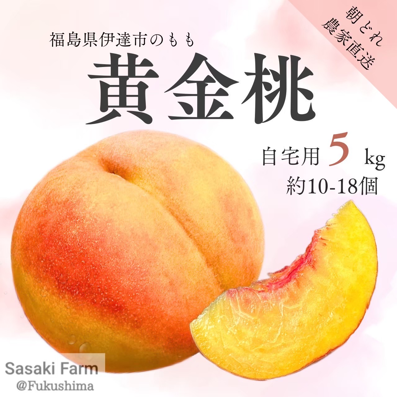 黄金桃・川中島白桃受注終了