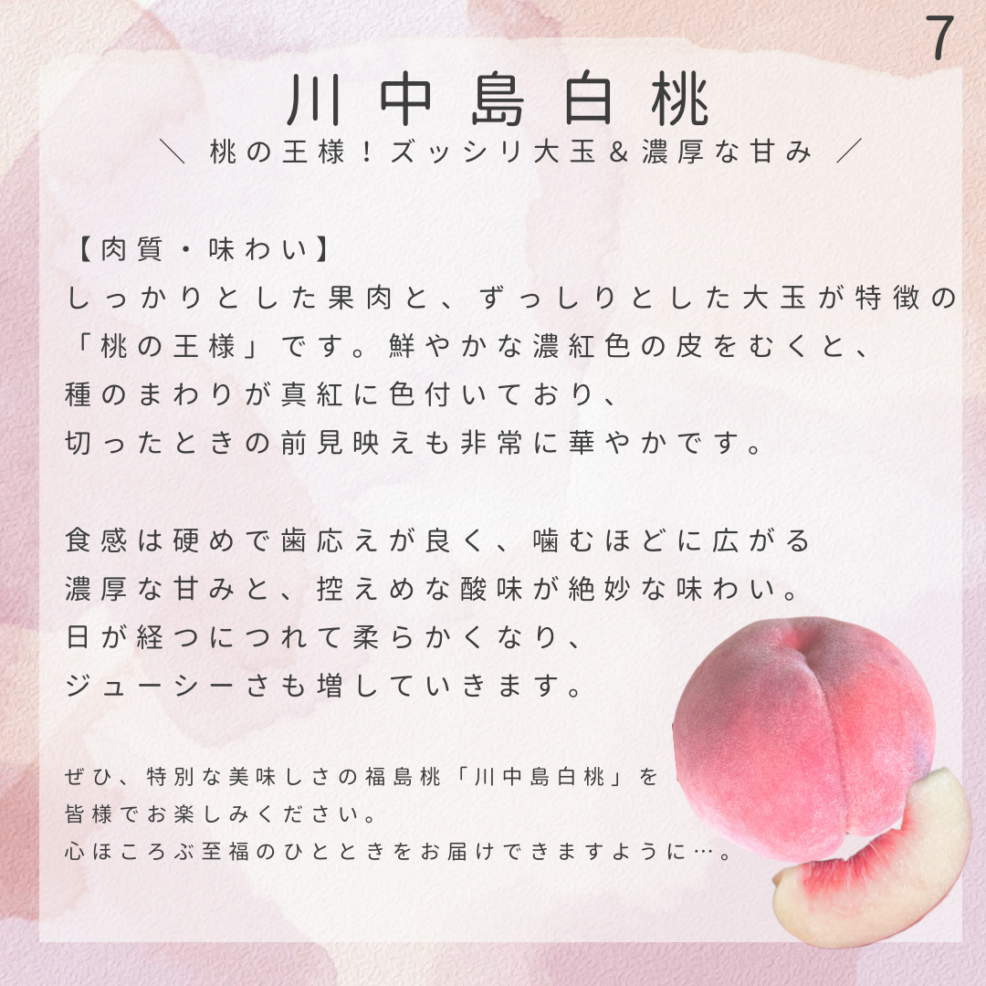 川中島白桃販売開始のお知らせ