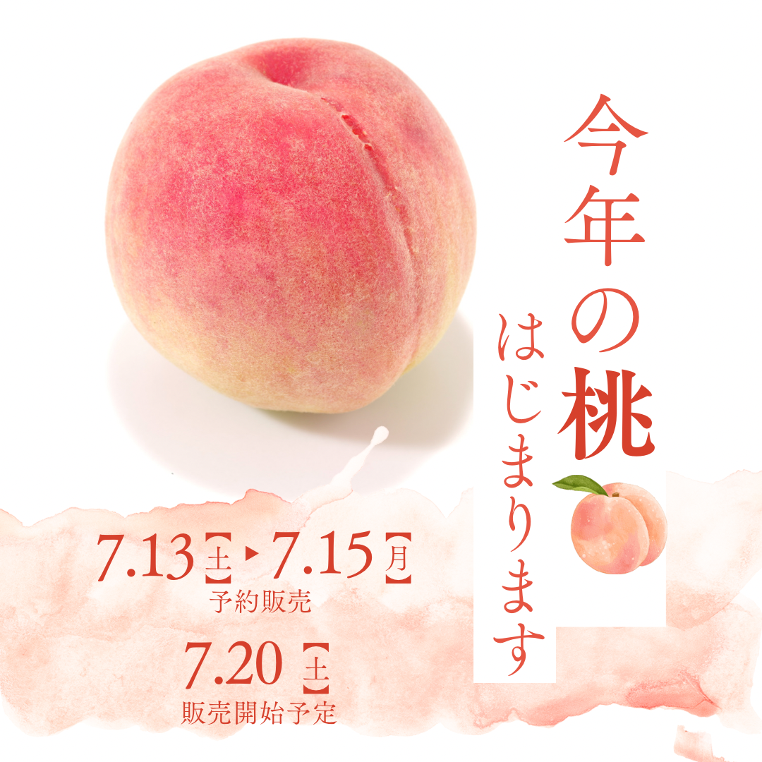 2024年 桃販売はじまります！