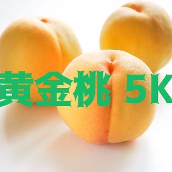 桃の販売500kg達成