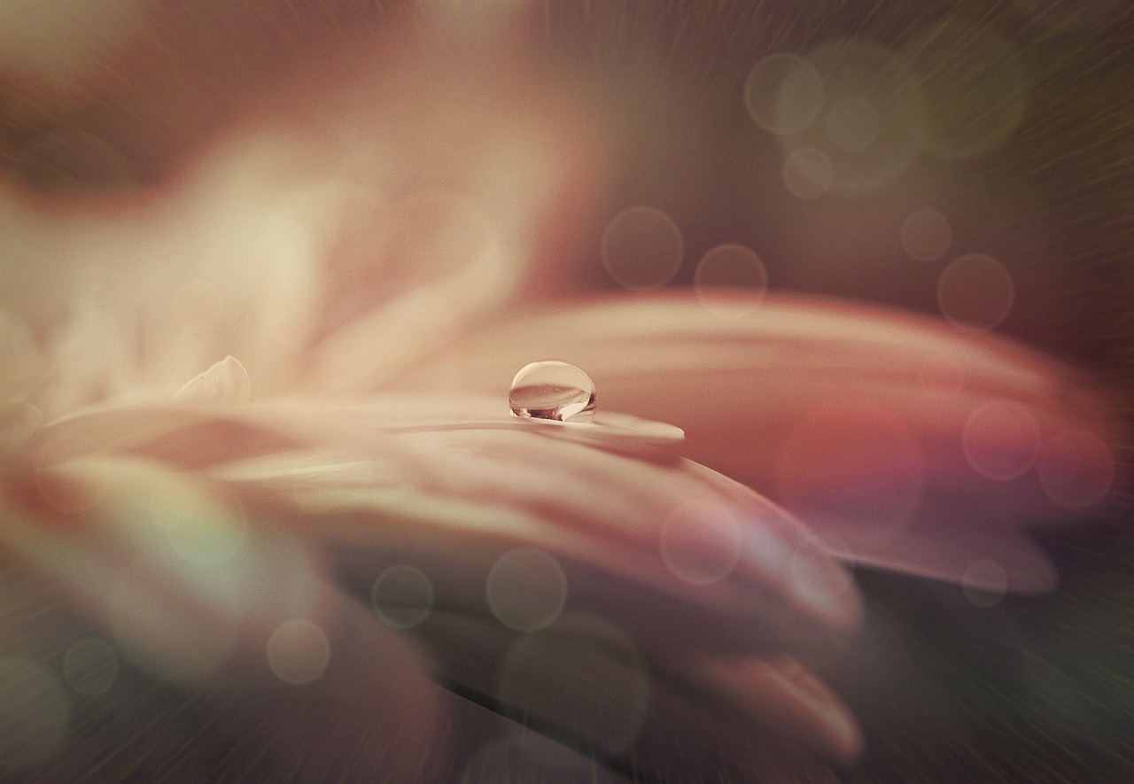 "豪運"と"強運"、似ているようで少し違う