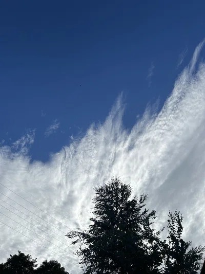 1月19日 やぎ座新月｜「自分の船」を、自分の意思で漕ぎ出すためのヒーリング