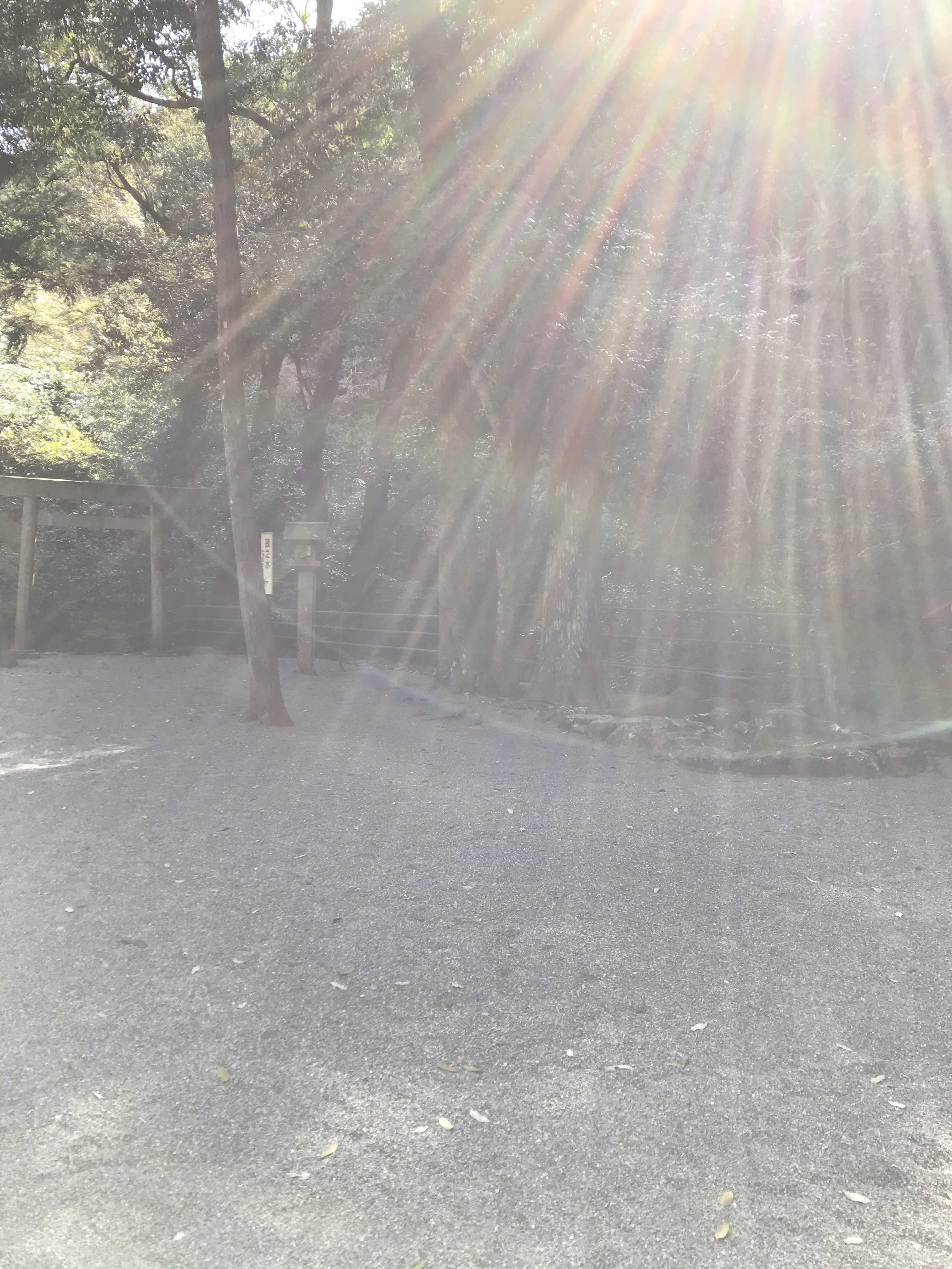常に自分を観ている必要があります