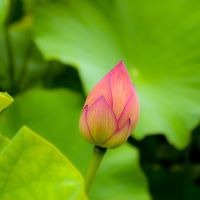 セッションルーム日程のご案内　2025年6月・７月