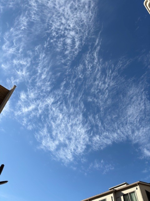 2026年1月3日 蟹座満月無料ヒーリング