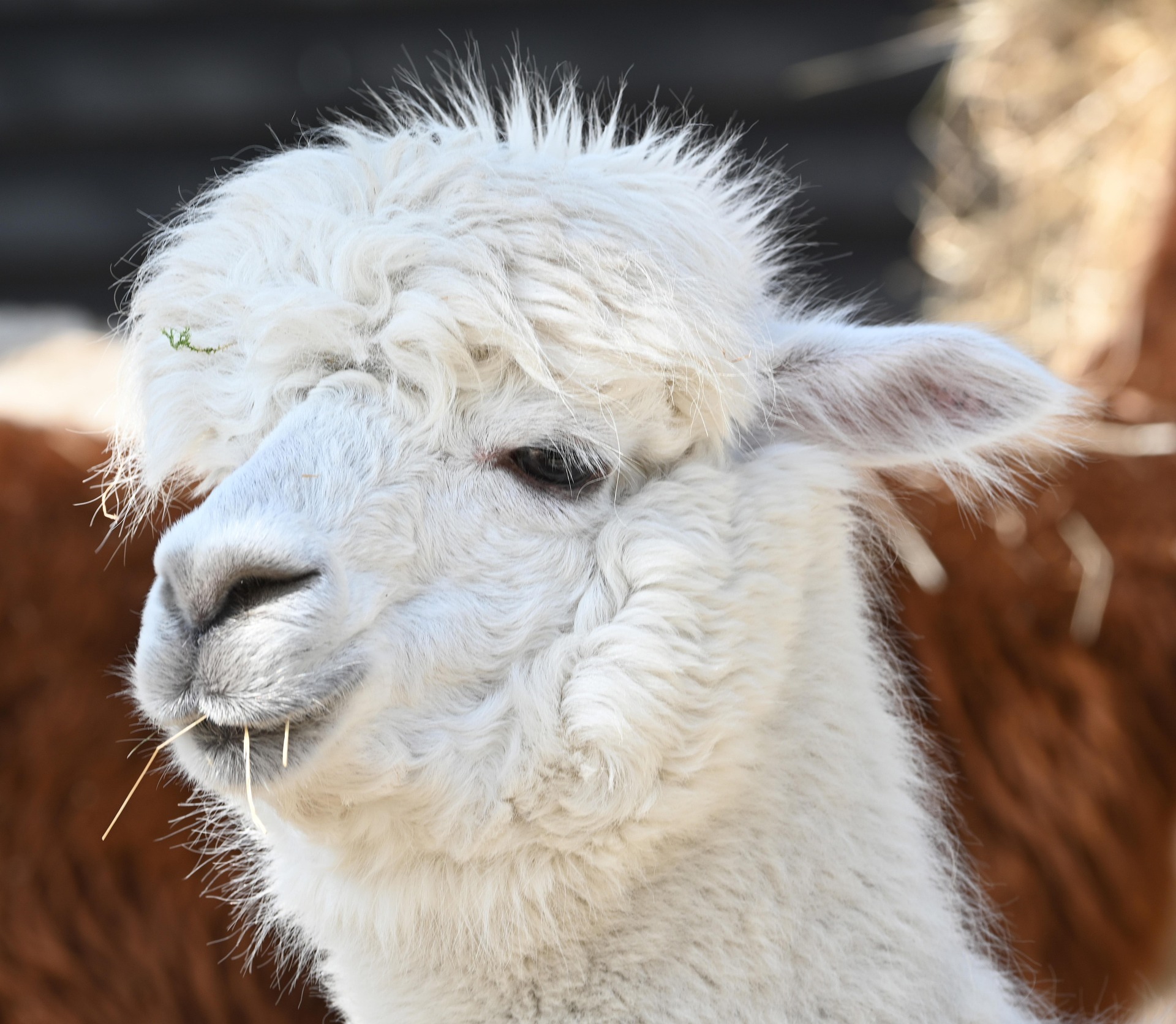 「吐く」から、始めてみる