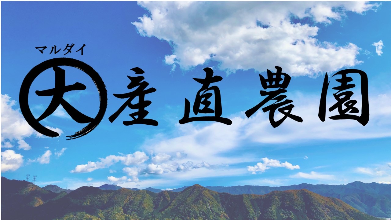 シャインマスカットの販売も終了いたしました。ありがとうございました。