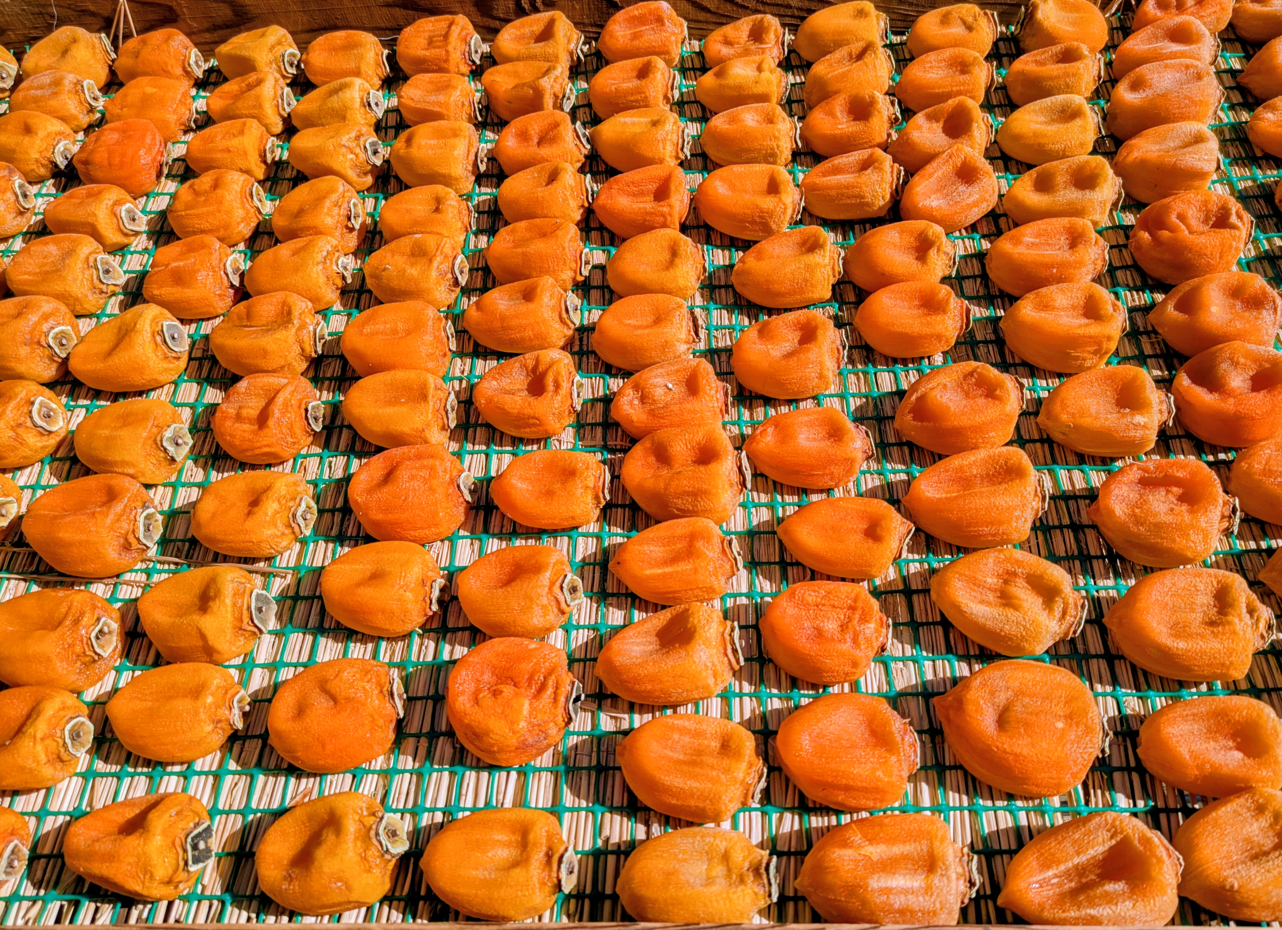 枯露柿の平干し