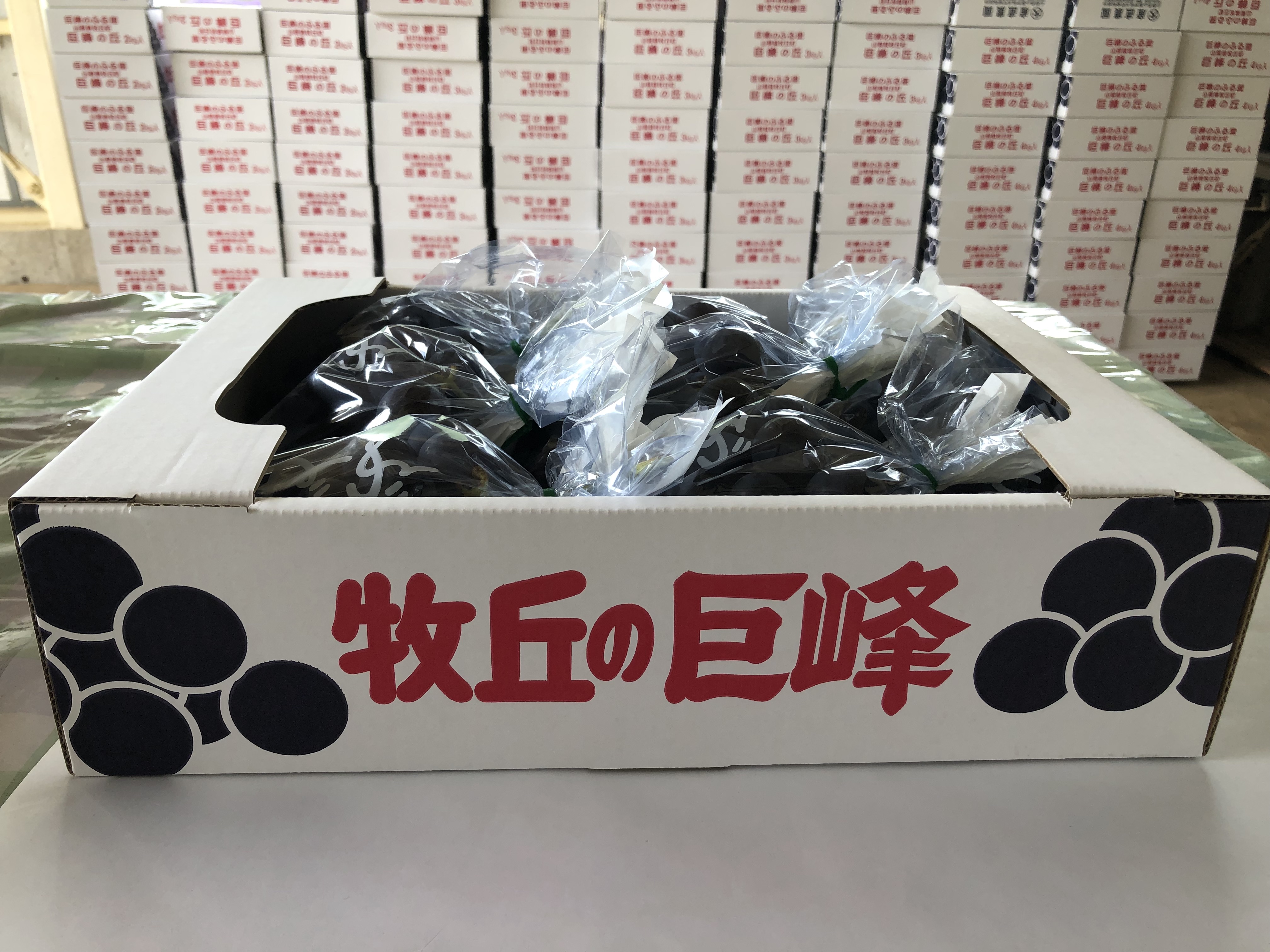 ☆出荷状況について☆『8／22・23』受付の方の出荷準備をはじめました。