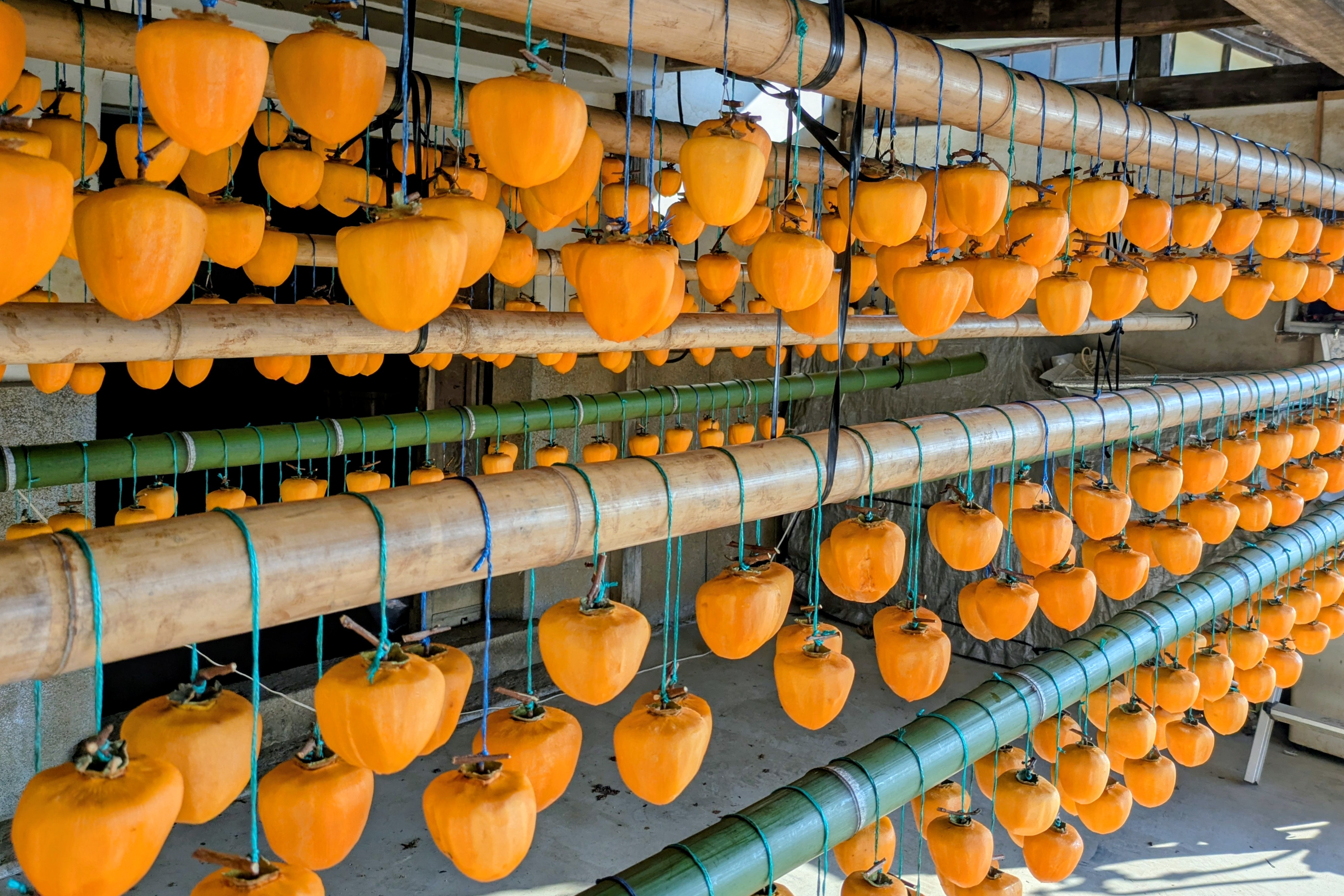 甲州百目柿の吊るし干し