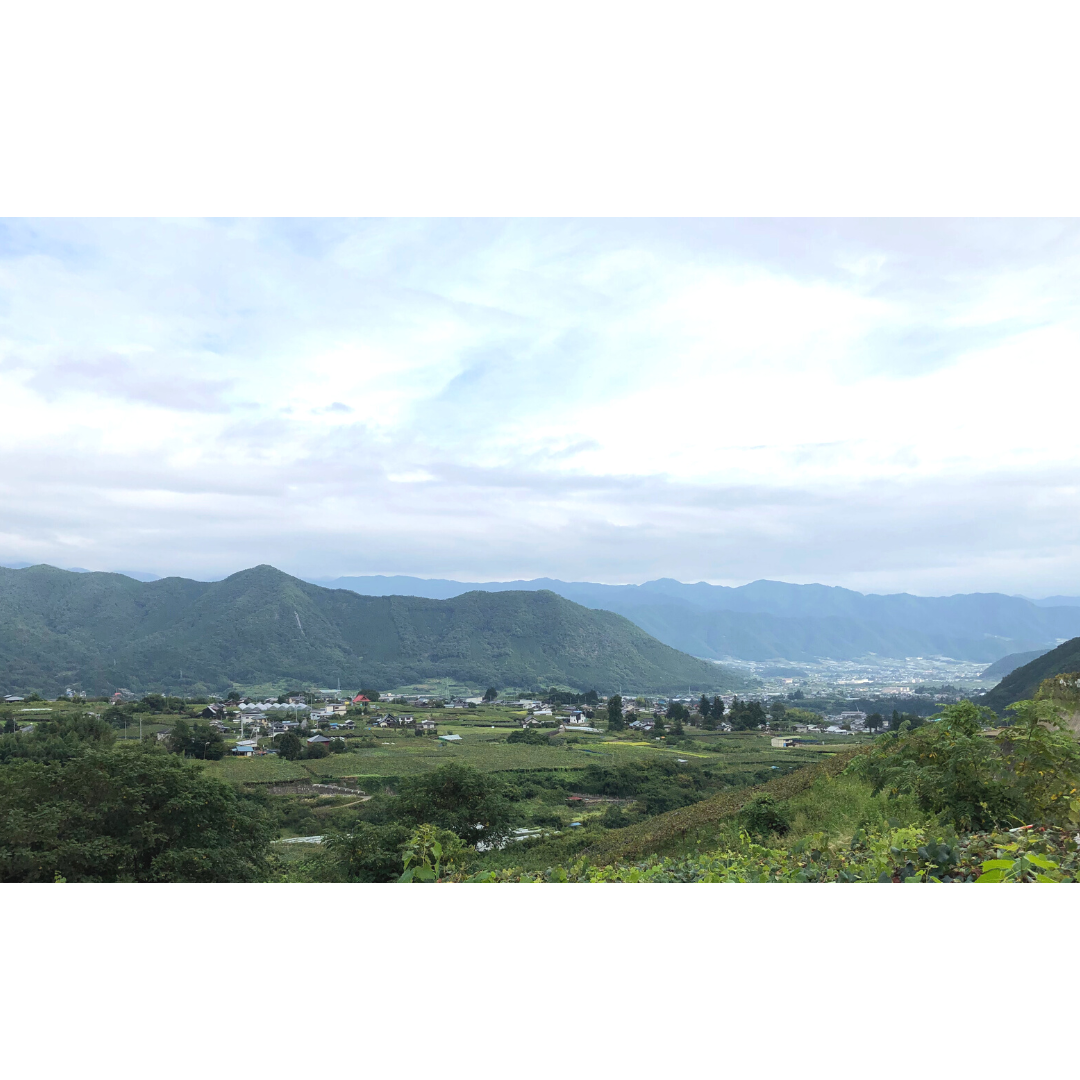 ☆出荷状況について☆『8／26以降』受付の方の出荷準備をはじめました。