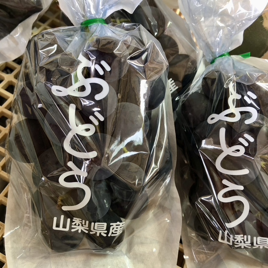 ☆出荷状況について☆『8／15〜16』受付の方の出荷準備をはじめました。