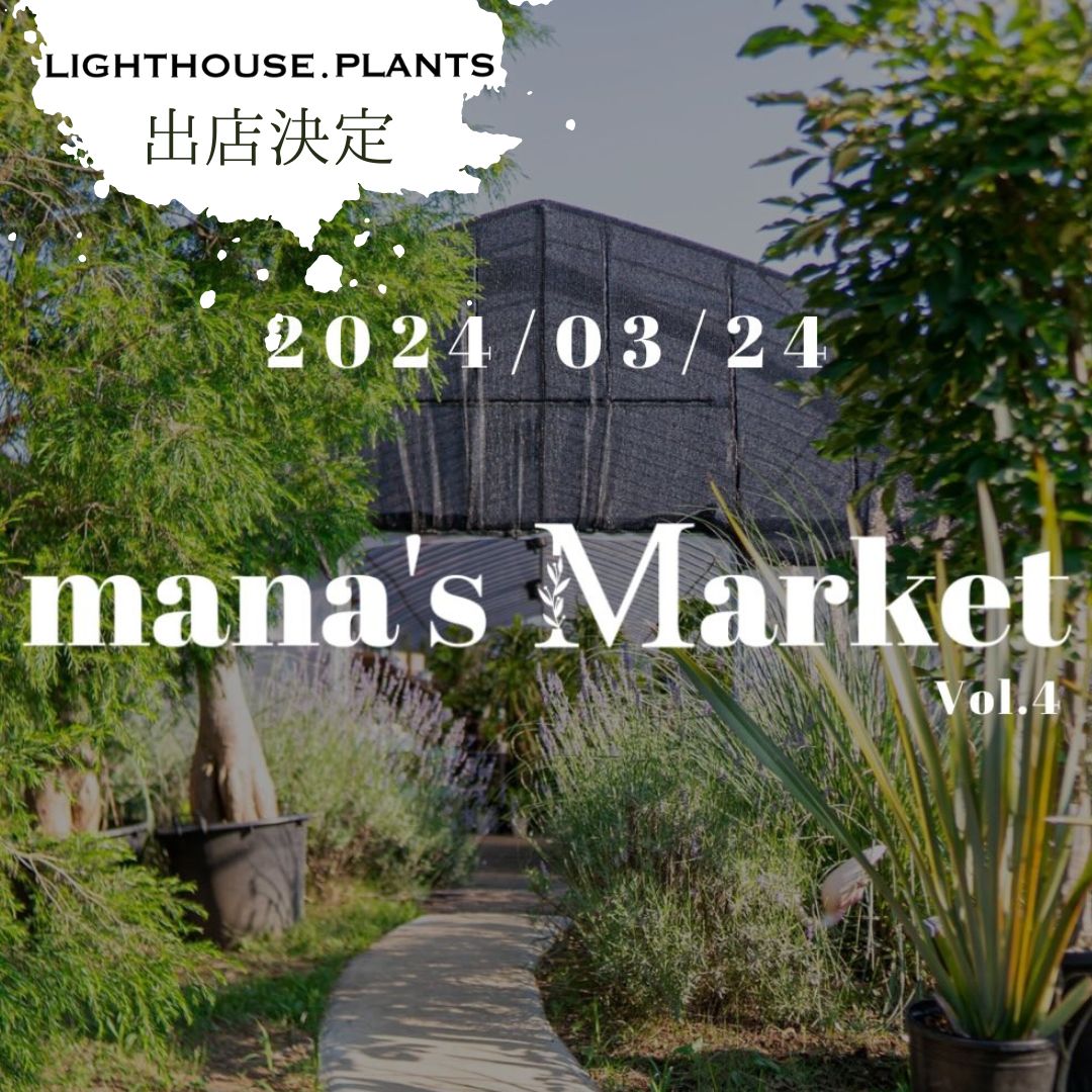 【mana's Market vol.4】LIGHTHOUSE.PLANTSの出店決定！