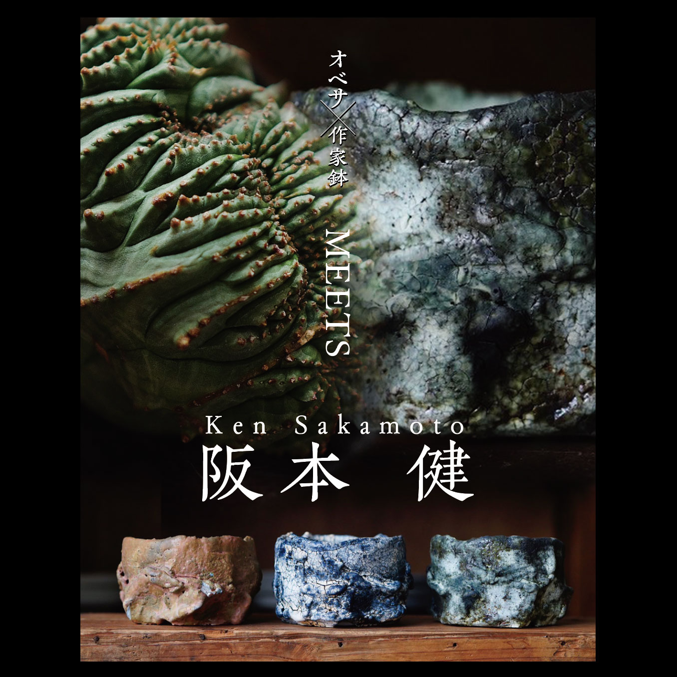 参加作家「阪本健」 - 羊と山羊 MEETS LIGHTHOUSE.PLANTS VOL.7
