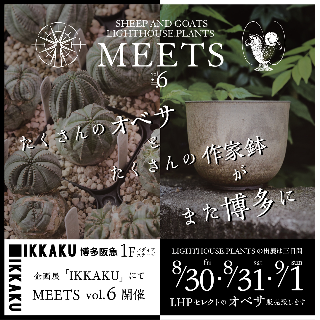 羊と山羊 MEETS LIGHTHOUSE.PLANTS VOL.6 IKKAKU 博多阪急 出店