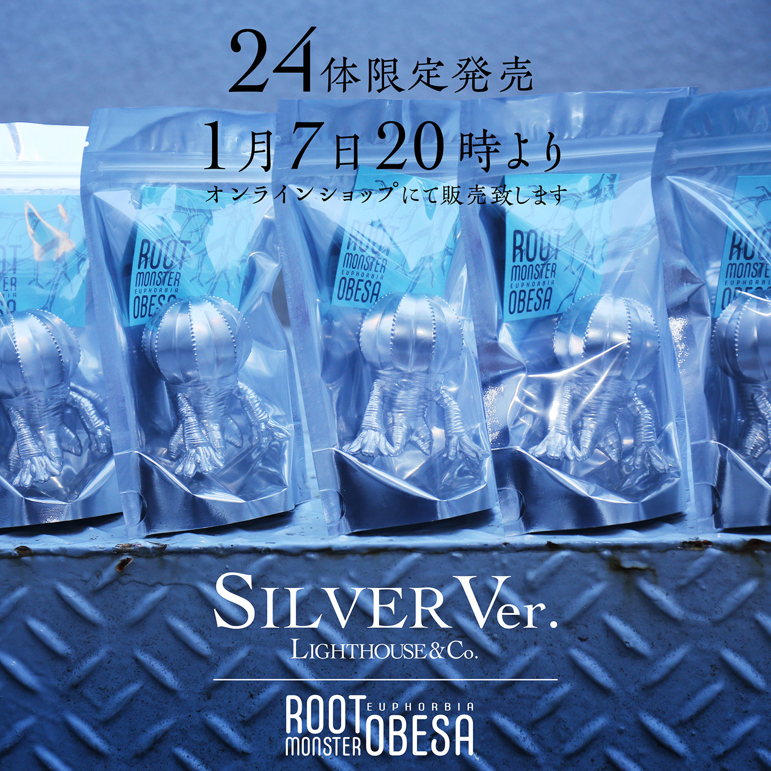 <24株限定> 2024年 HAPPY NEW YEAR 限定フィギュア シルバーver 発売決定