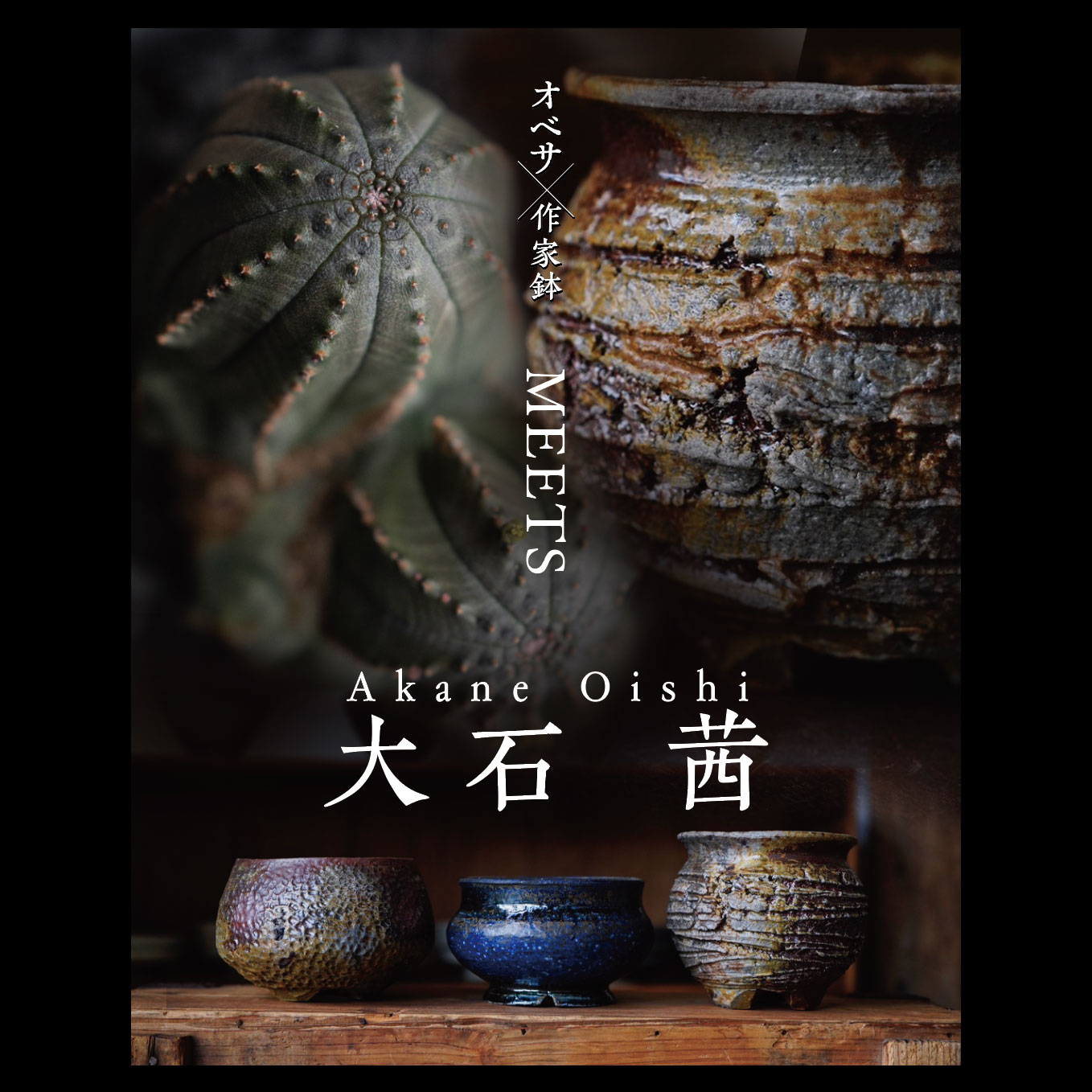 参加作家「大石茜」 - 羊と山羊 MEETS LIGHTHOUSE.PLANTS VOL.7