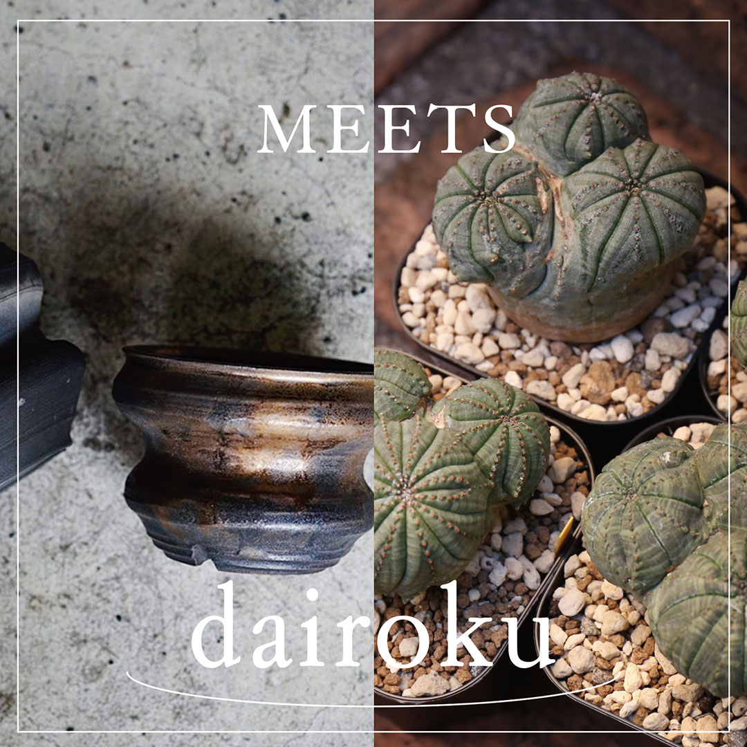 参加作家「dairoku」 - 羊と山羊 MEETS LIGHTHOUSE.PLANTS VOL5