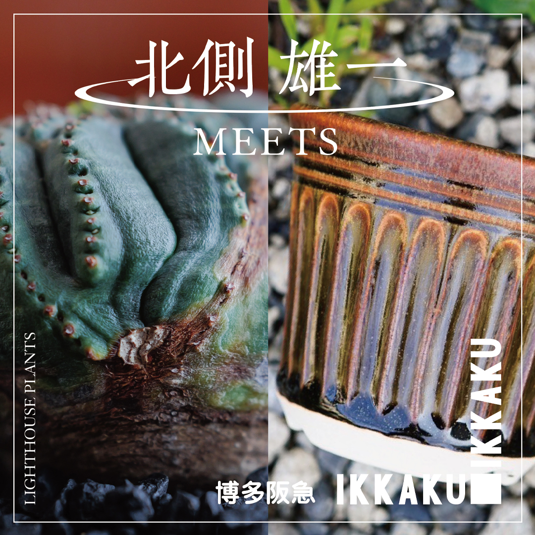 【作家紹介】北側雄一氏 IKKAKU 博多阪急 8/30-9/1開催