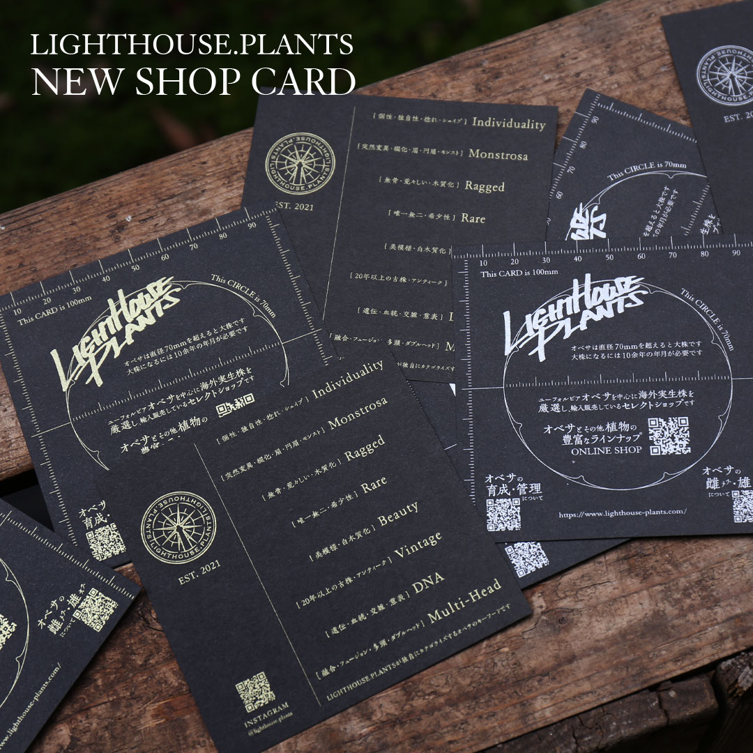 【LIGHTHOUSE.PLANTS NEW SHOP CARD】MEETS VOI.5から配布決定