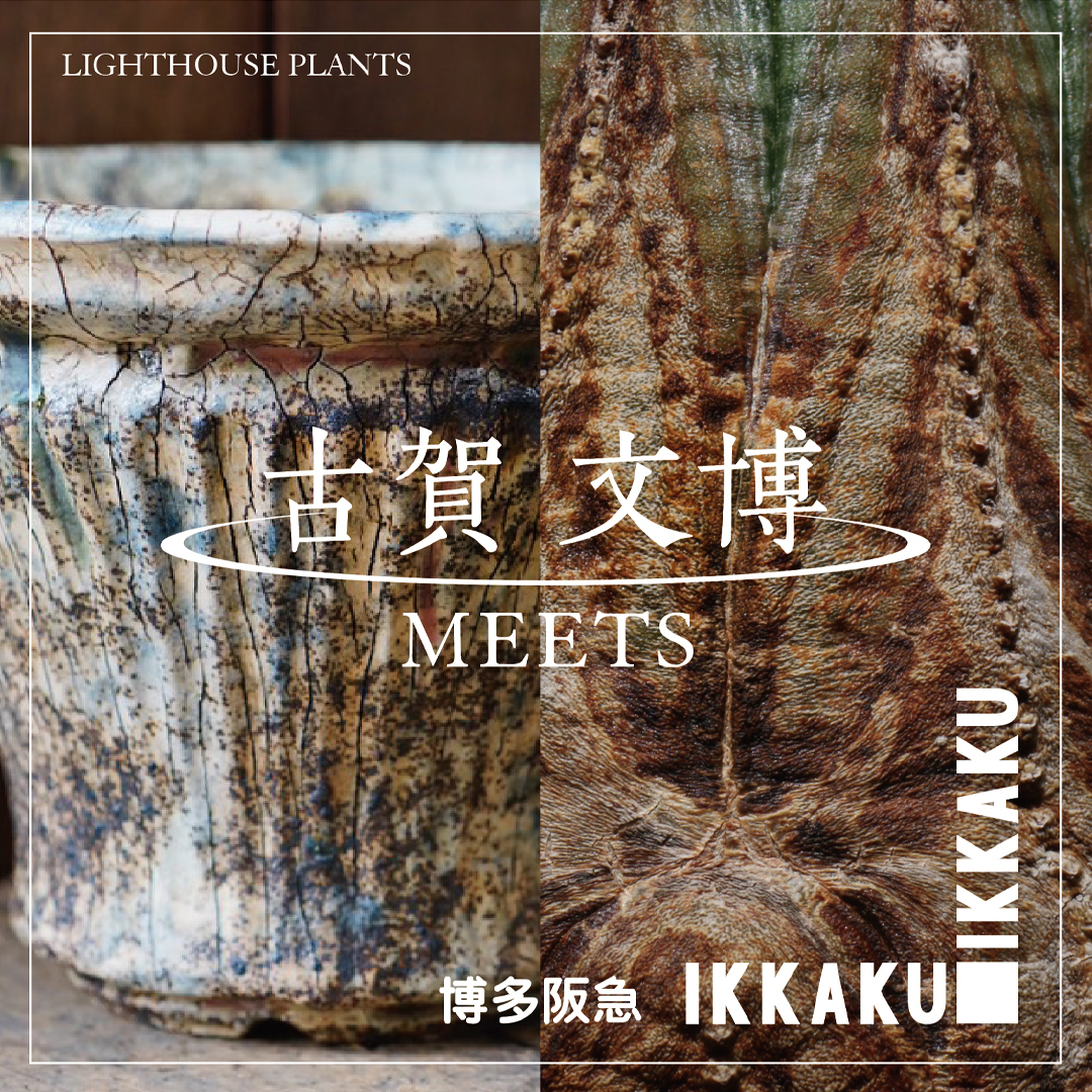 【作家紹介】古賀文博氏 IKKAKU 博多阪急 8/30-9/1開催
